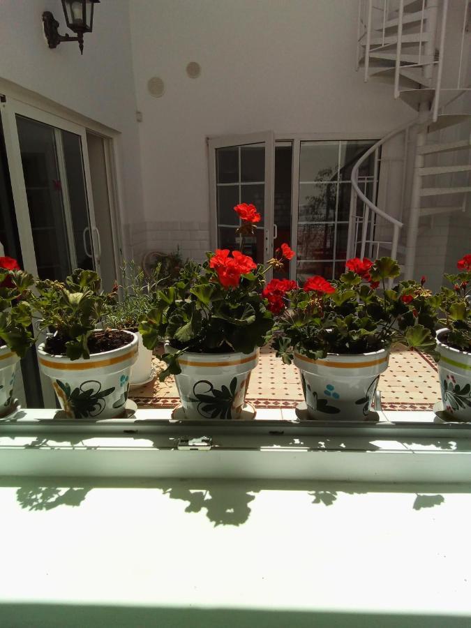 Appartement Casa Alba 1 à Puerto del Rosario  Extérieur photo