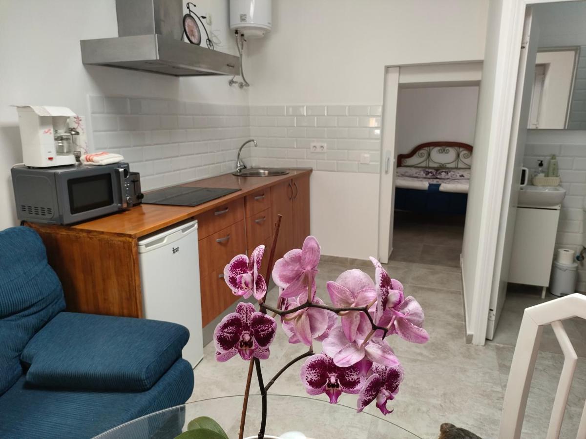 Appartement Casa Alba 1 à Puerto del Rosario  Extérieur photo